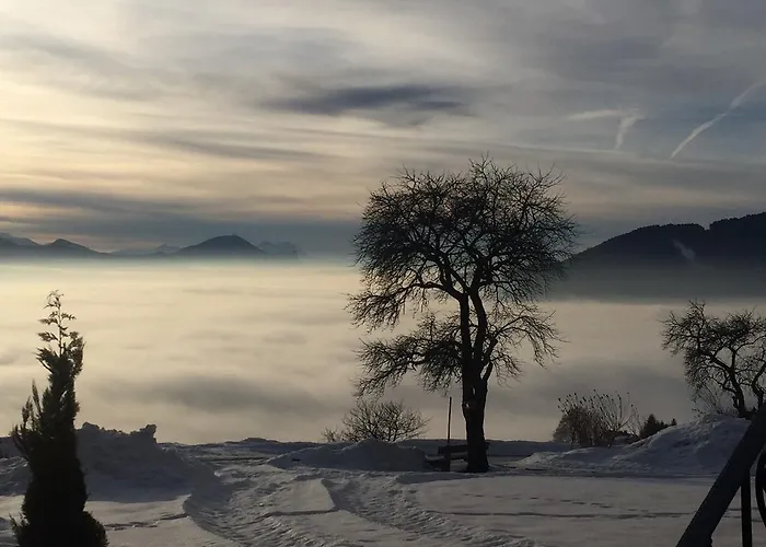 فوغلفايدرهوف 3*